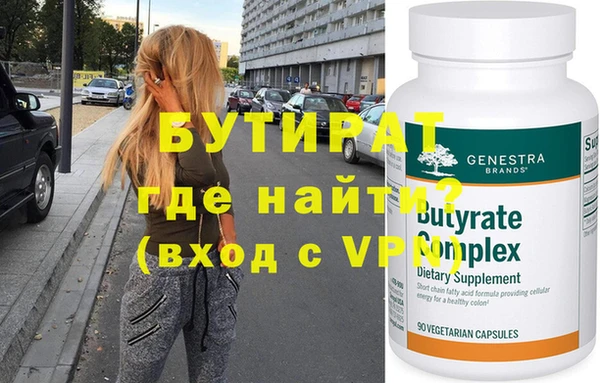 сатива Новозыбков