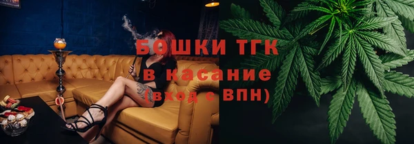 сатива Новодвинск
