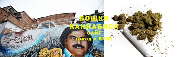 ГАЛЛЮЦИНОГЕННЫЕ ГРИБЫ Гусиноозёрск