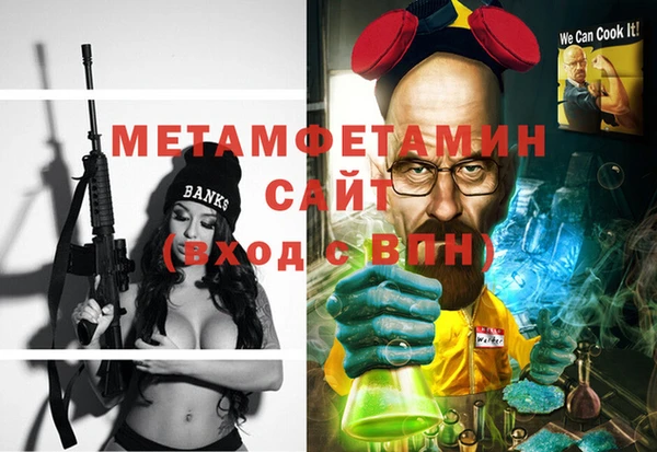 сатива Новодвинск