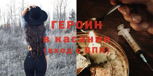 сатива Новодвинск