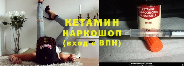 сатива Новозыбков