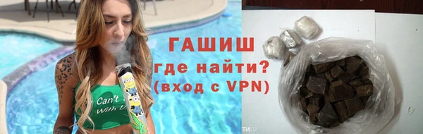 сатива Новодвинск