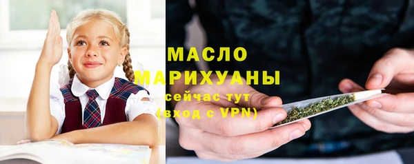 сатива Новодвинск