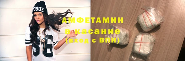 сатива Новодвинск