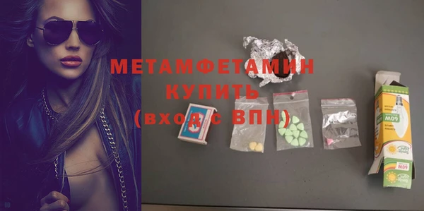 сатива Новозыбков