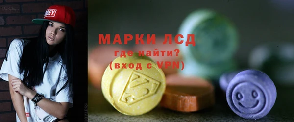 сатива Новозыбков