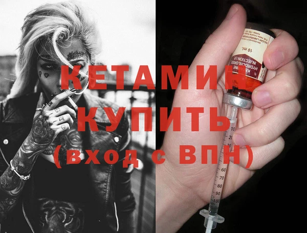 сатива Новозыбков