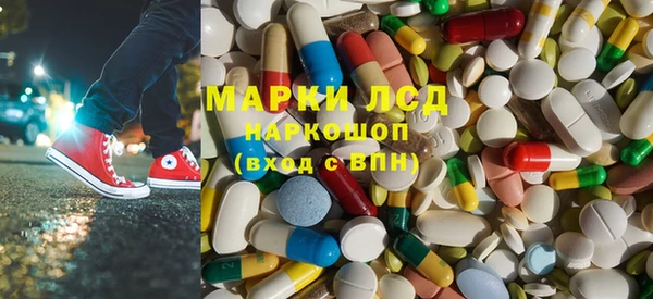 сатива Новозыбков