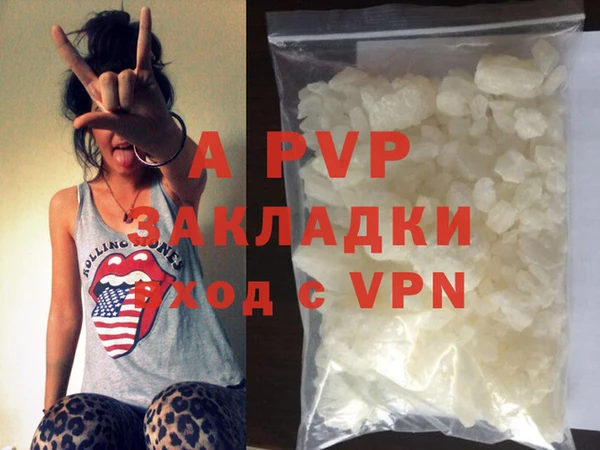 сатива Новозыбков