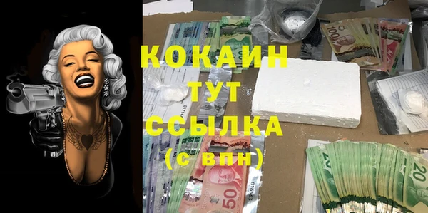 сатива Новодвинск