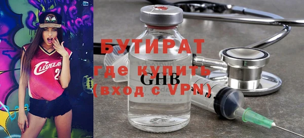 сатива Новозыбков