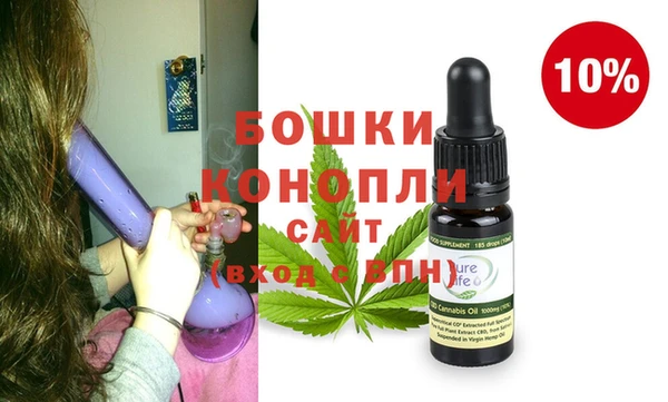сатива Новодвинск