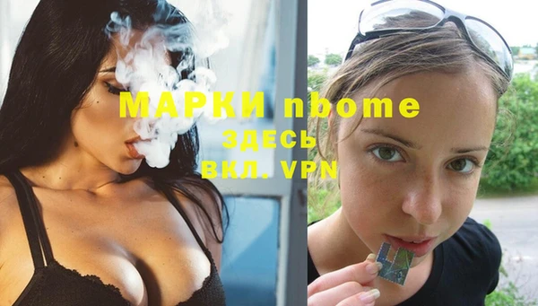 сатива Новодвинск