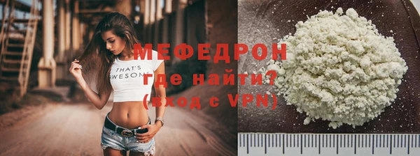 сатива Новозыбков