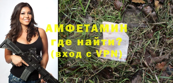 сатива Новодвинск