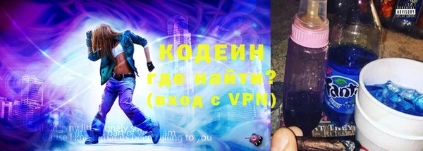 сатива Новозыбков