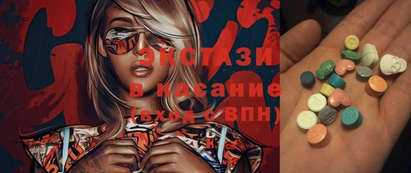 сатива Новозыбков