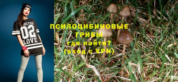 сатива Новодвинск