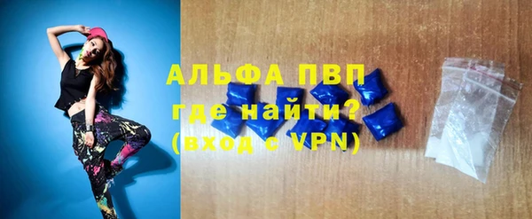 сатива Новодвинск