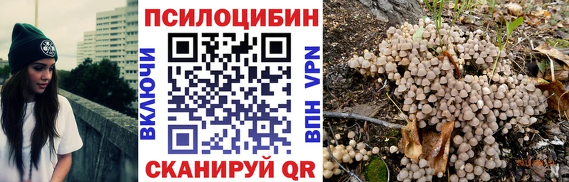Псилоцибиновые грибы MAGIC MUSHROOMS  kraken зеркало  Печоры 